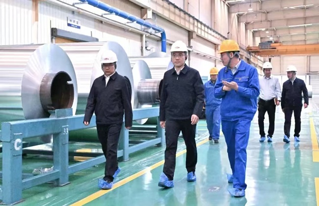 新安縣委書(shū)記王智到萬(wàn)基控股集團(tuán)調(diào)研